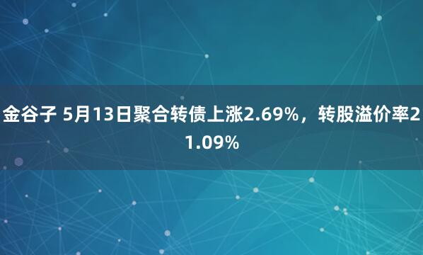 金谷子 5月13日聚合转债上涨2.69%，转股溢价率21.09%