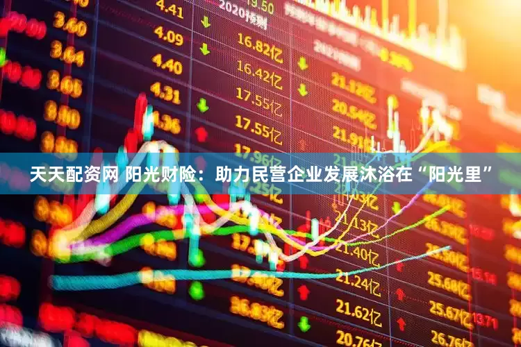 天天配资网 阳光财险：助力民营企业发展沐浴在“阳光里”