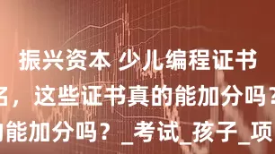 振兴资本 少儿编程证书含金量排名，这些证书真的能加分吗？_考试_孩子_项目