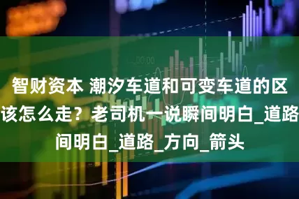 智财资本 潮汐车道和可变车道的区别是什么？该怎么走？老司机一说瞬间明白_道路_方向_箭头
