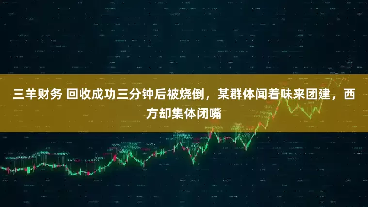 三羊财务 回收成功三分钟后被烧倒，某群体闻着味来团建，西方却集体闭嘴